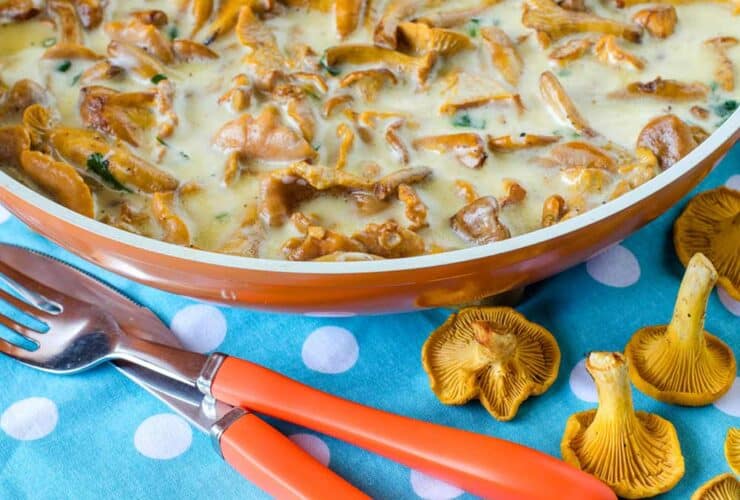 Vegan kochen mit Pilzen (depositphotos.com)