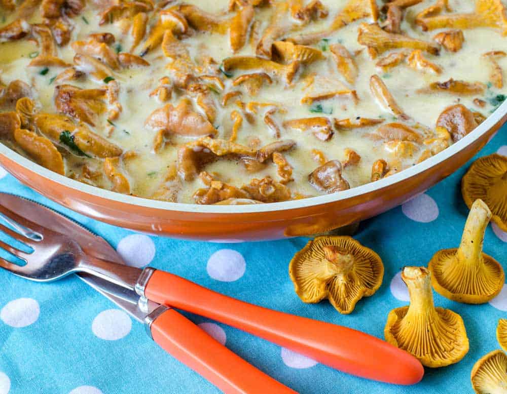 Vegan kochen mit Pilzen (depositphotos.com)