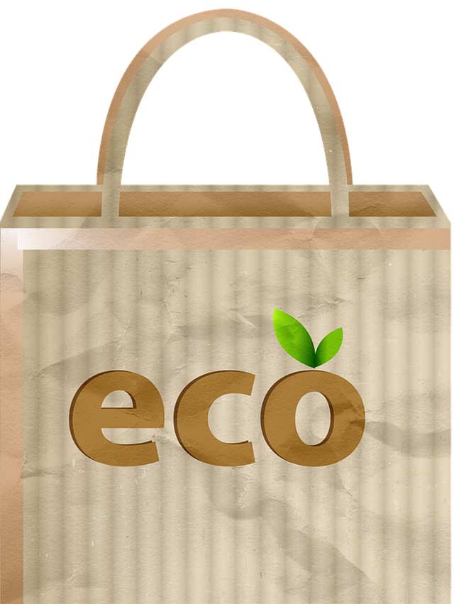 Green Shopping: bewusster Einkauf