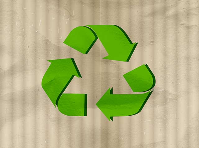 Zum grünen Drucken gehört auch die Verwendung von nachhaltigem Papier