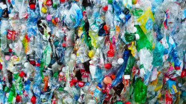 Plastikflaschen Müll