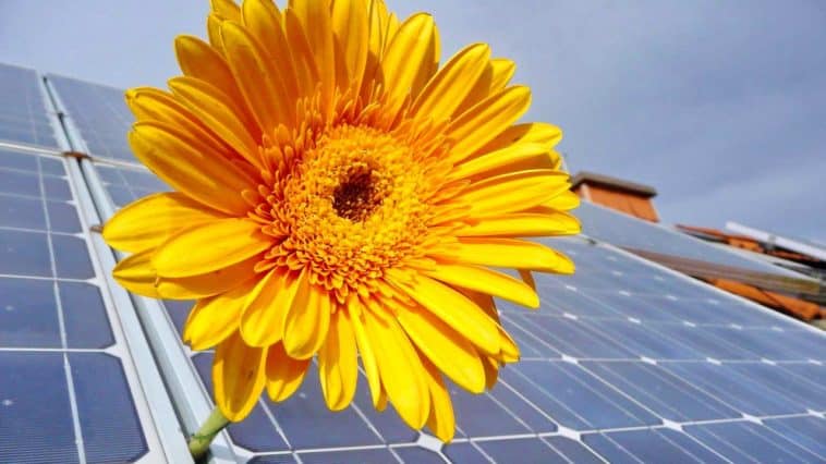 Solaranlage auf dem Dach für Grünen Strom