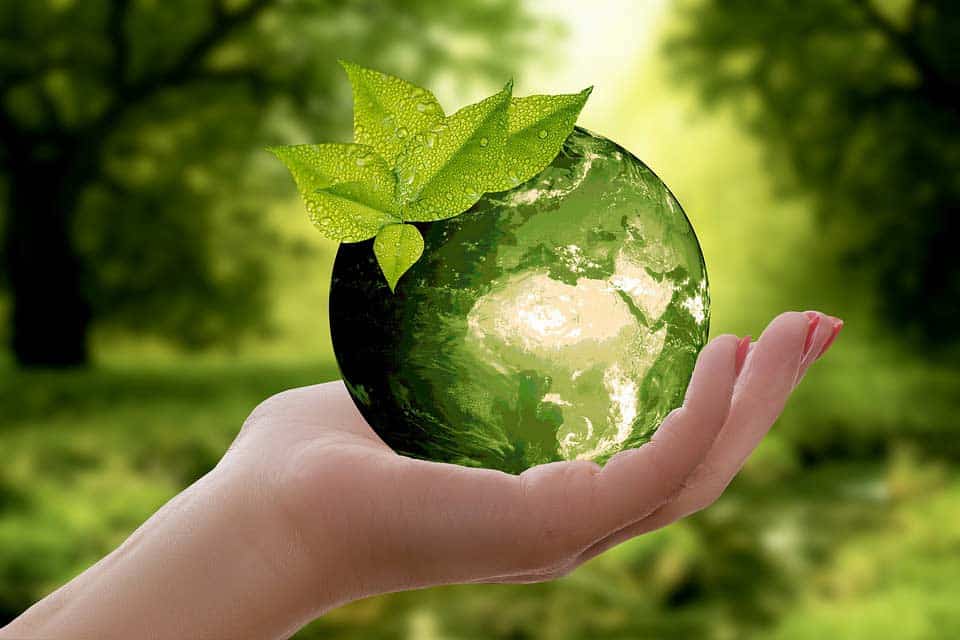 Nachhaltigkeit ist wichtig für uns und dem Planeten