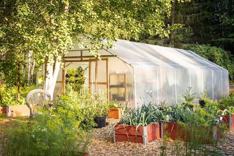 Bio Garten mit Treibhaus 