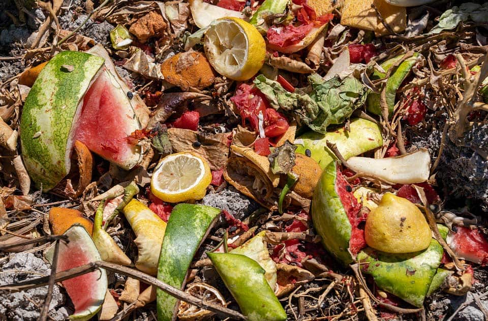 Biomüll auf dem Kompost - nachhaltige Entsorgung von nicht genutzten Obst und Gemüse