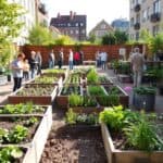 Urbaner Biogarten Prinzessinnengärten in Berlin