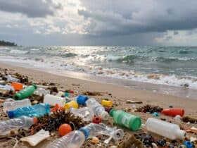 Warum ist Plastik schlecht für die Umwelt